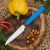 Нож P100 (овощной), N690, Blue, OWL-3161111090