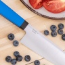 Нож CH160 (миниШеф), N690, Blue, OWL-3031111090 - фото