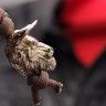 Нож "Bull" black s/w, темляк, бусина - фото
