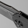 Складной нож Kershaw Natrix 7007BLKBW - фото