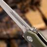 Нож Artisan Cutlery 1810P-GNC Hornet - фото