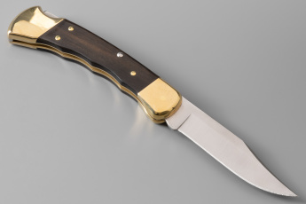 Нож складной BUCK 110 Folding Hunter 0110BRSFG