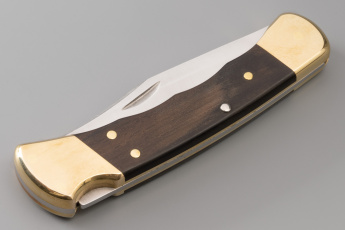 Нож складной BUCK 110 Folding Hunter 0110BRSFG