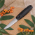 Нож NORTH-XS (финка малая) N690, Микарта