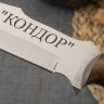 Нож "Кондор" Беркут (орех) - фото
