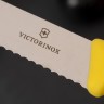 Нож для овощей Victorinox Swiss Classic 6.7736.L8 - фото