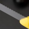Нож для овощей Victorinox Swiss Classic 6.7736.L8 - фото
