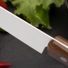 Шеф Нож Fuji Cutlery TJ-51 - фото