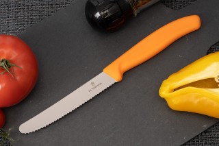 Нож для стейка Victorinox Swiss Classic 6.7836.L119