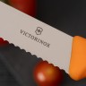 Нож для стейка Victorinox Swiss Classic 6.7836.L119 - фото