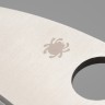 Складной нож Spyderco RockJumper 254PBK - фото